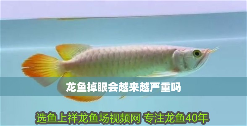 龍魚掉眼會越來越嚴重嗎
