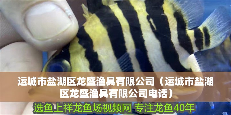 運城市鹽湖區龍盛漁具有限公司（運城市鹽湖區龍盛漁具有限公司電話）