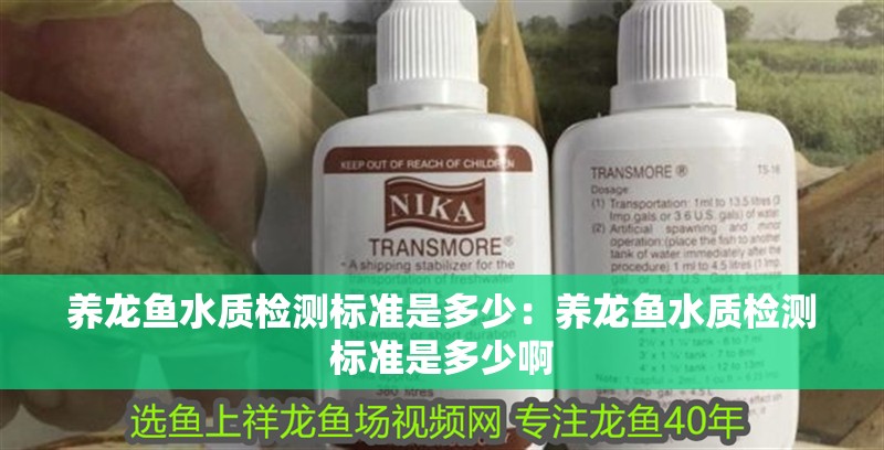 養(yǎng)龍魚水質(zhì)檢測標(biāo)準(zhǔn)是多少：養(yǎng)龍魚水質(zhì)檢測標(biāo)準(zhǔn)是多少啊