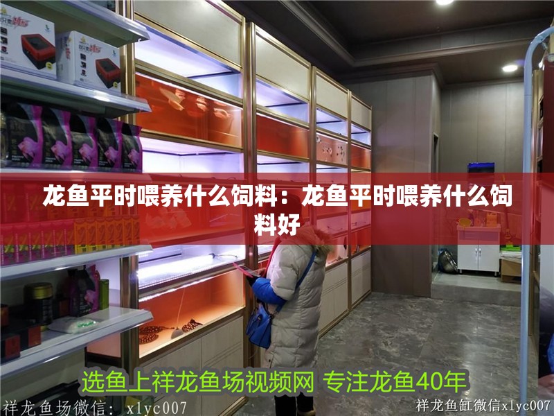 龍魚平時喂養什么飼料：龍魚平時喂養什么飼料好