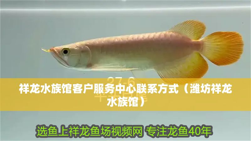 祥龍水族館客戶服務(wù)中心聯(lián)系方式（濰坊祥龍水族館）