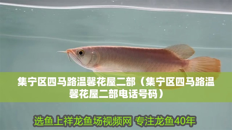 集寧區四馬路溫馨花屋二部（集寧區四馬路溫馨花屋二部電話號碼）