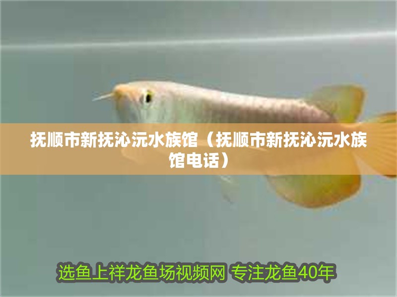 撫順市新撫沁沅水族館（撫順市新撫沁沅水族館電話）
