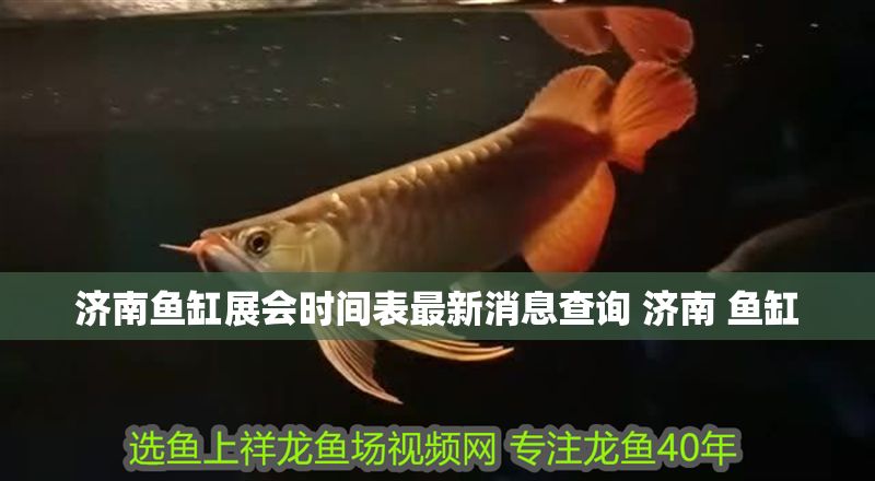 濟南魚缸展會時間表最新消息查詢 濟南 魚缸