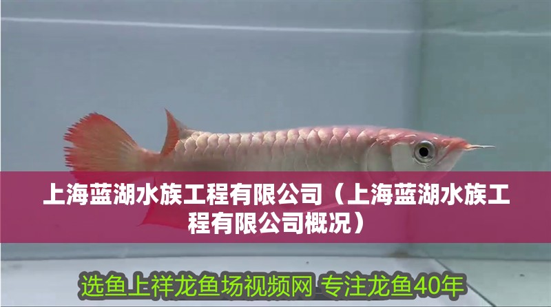 上海藍湖水族工程有限公司（上海藍湖水族工程有限公司概況） 上海藍湖水族工程有限公司（上海藍湖水族工程有限公司概況） 全國水族館企業名錄 第1張