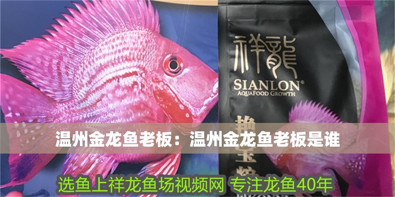 溫州金龍魚老板：溫州金龍魚老板是誰