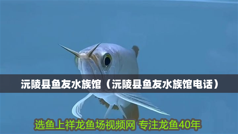 沅陵縣魚(yú)友水族館（沅陵縣魚(yú)友水族館電話）