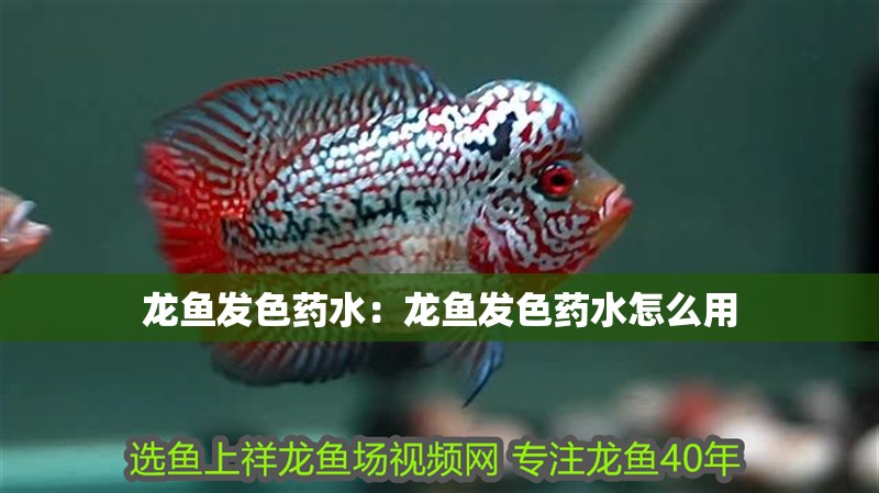 龍魚發色藥水：龍魚發色藥水怎么用