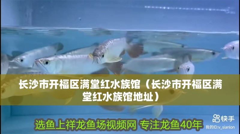 長沙市開福區滿堂紅水族館（長沙市開福區滿堂紅水族館地址） 長沙市開福區滿堂紅水族館（長沙市開福區滿堂紅水族館地址） 全國水族館企業名錄 第1張