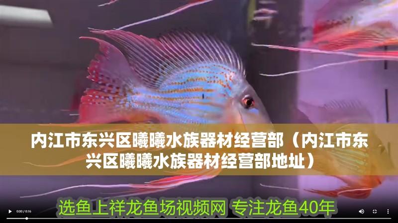 內江市東興區曦曦水族器材經營部(內江市東興區曦曦水族器材經營部地址) 全國水族館企業名錄 第1張 內江市東興區曦曦水族器材經營部(內江市東興區曦曦水族器材經營部地址) 內江市東興區曦曦水族器材經營部(內江市東興區曦曦水族器材經營部地址) 全國水族館企業名錄 第1張