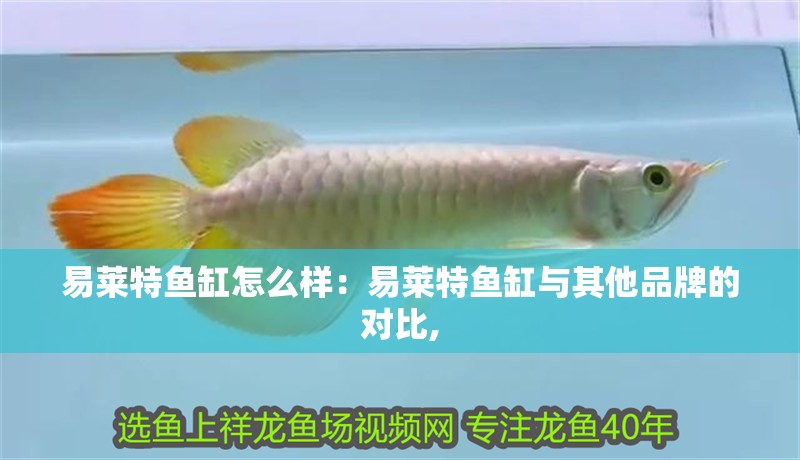 易萊特魚缸怎么樣：易萊特魚缸與其他品牌的對比, 易萊特魚缸怎么樣：易萊特魚缸與其他品牌的對比, 魚缸百科