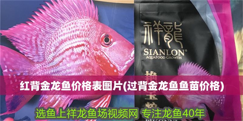 紅背金龍魚價(jià)格表圖片(過背金龍魚魚苗價(jià)格)