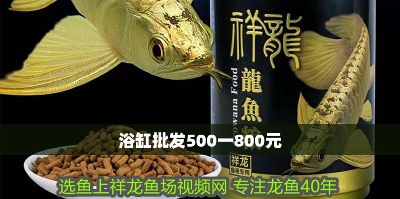 浴缸批發500一800元