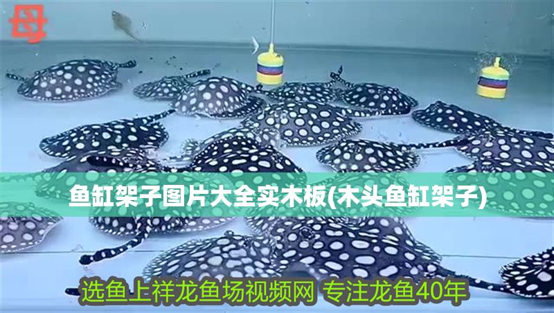 魚缸架子圖片大全實木板(木頭魚缸架子)