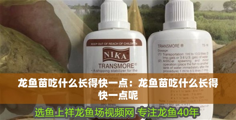 龍魚(yú)苗吃什么長(zhǎng)得快一點(diǎn)：龍魚(yú)苗吃什么長(zhǎng)得快一點(diǎn)呢