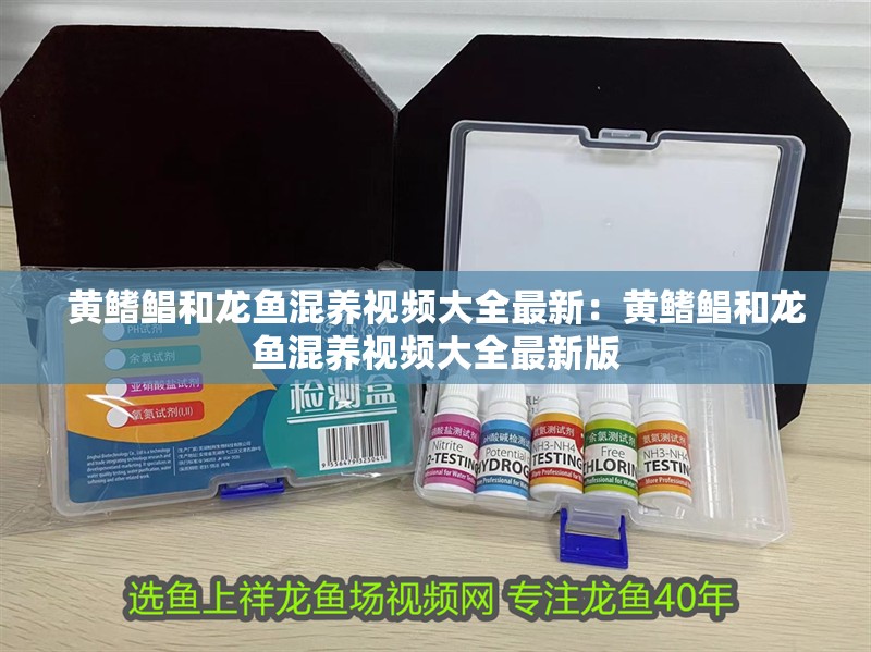 黃鰭鯧和龍魚混養視頻大全最新：黃鰭鯧和龍魚混養視頻大全最新版