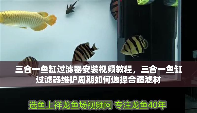三合一魚缸過濾器安裝視頻教程，三合一魚缸過濾器維護周期如何選擇合適濾材