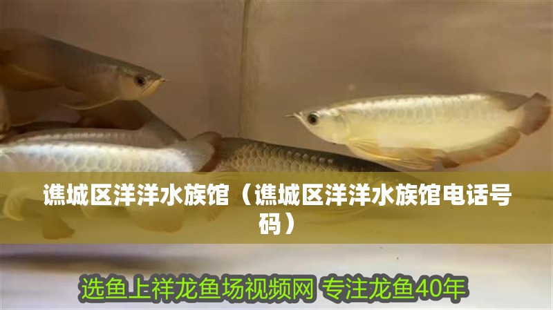 譙城區洋洋水族館（譙城區洋洋水族館電話號碼） 譙城區洋洋水族館（譙城區洋洋水族館電話號碼） 全國水族館企業名錄 第1張