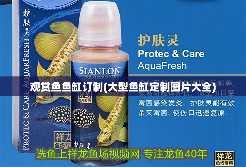 觀賞魚魚缸訂制(大型魚缸定制圖片大全) 觀賞魚魚缸訂制(大型魚缸定制圖片大全) 魚缸百科 第1張