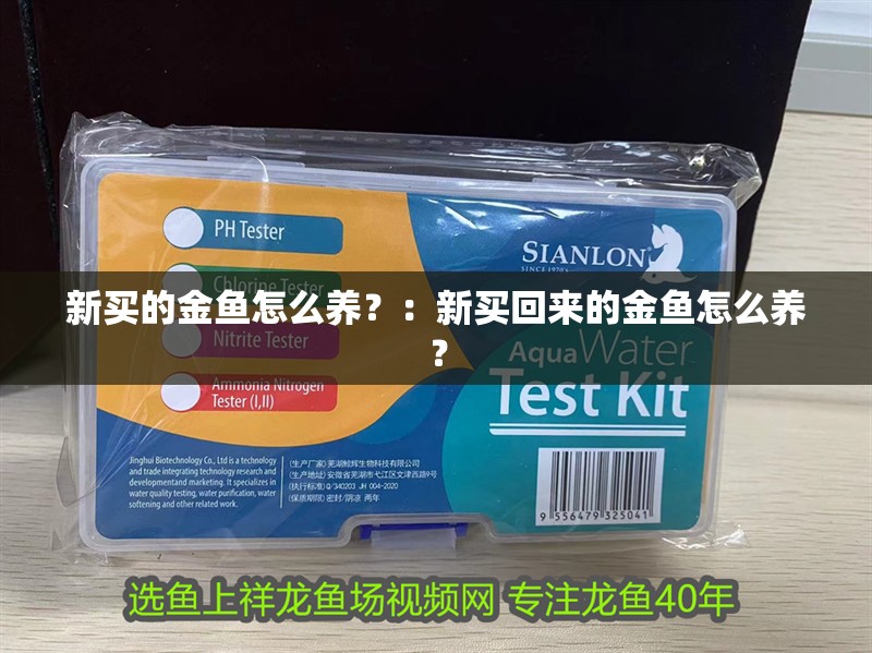 新買的金魚怎么養？：新買回來的金魚怎么養？