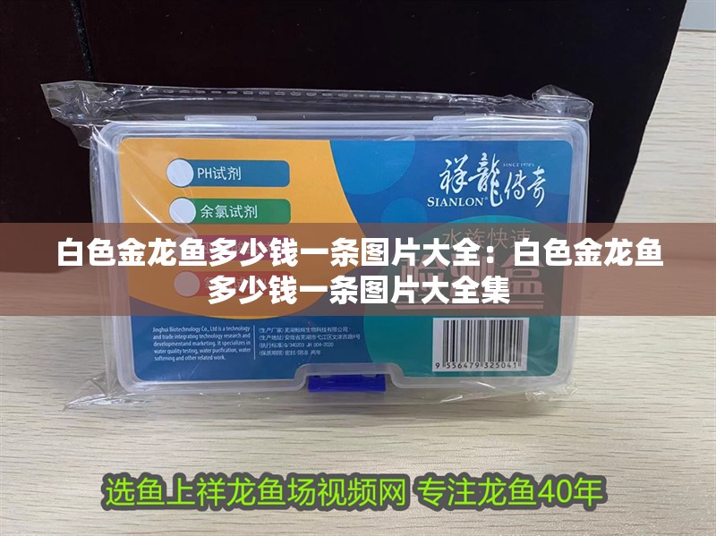 白色金龍魚多少錢一條圖片大全：白色金龍魚多少錢一條圖片大全集 白色金龍魚多少錢一條圖片大全：白色金龍魚多少錢一條圖片大全集 水族問答