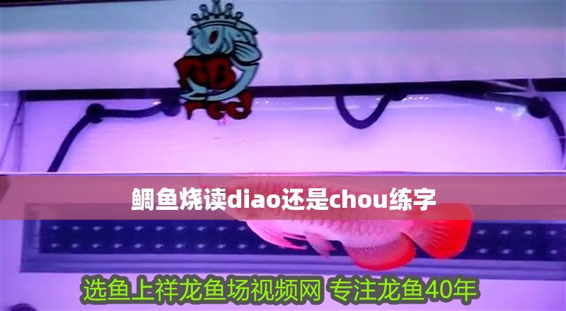 鯛魚燒讀diao還是chou練字
