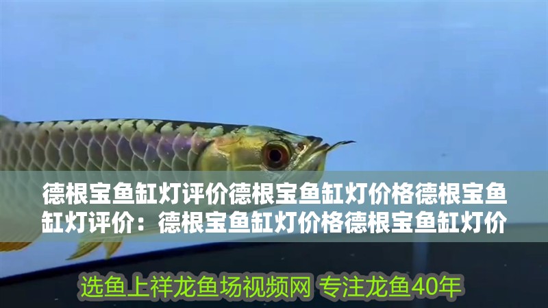 德根寶魚缸燈評價德根寶魚缸燈價格德根寶魚缸燈評價：德根寶魚缸燈價格德根寶魚缸燈價格德根寶魚缸燈評價