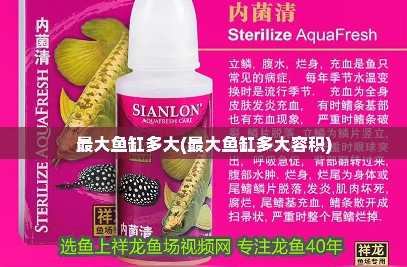 最大魚缸多大(最大魚缸多大容積) 最大魚缸多大(最大魚缸多大容積) 黃金貓魚百科 第1張