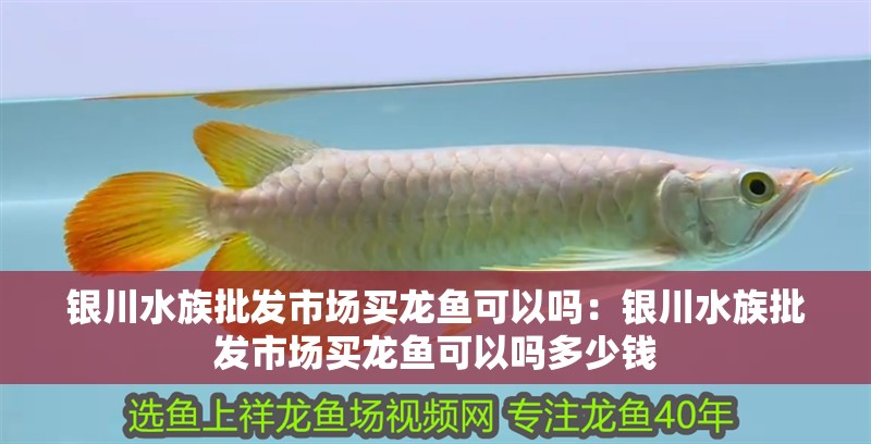 水綠了怎么辦換了2天水了沒見好轉求指點