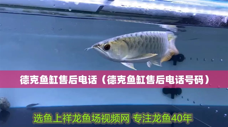 德克魚缸售后電話（德克魚缸售后電話號碼） 德克魚缸售后電話（德克魚缸售后電話號碼） 觀賞魚百科