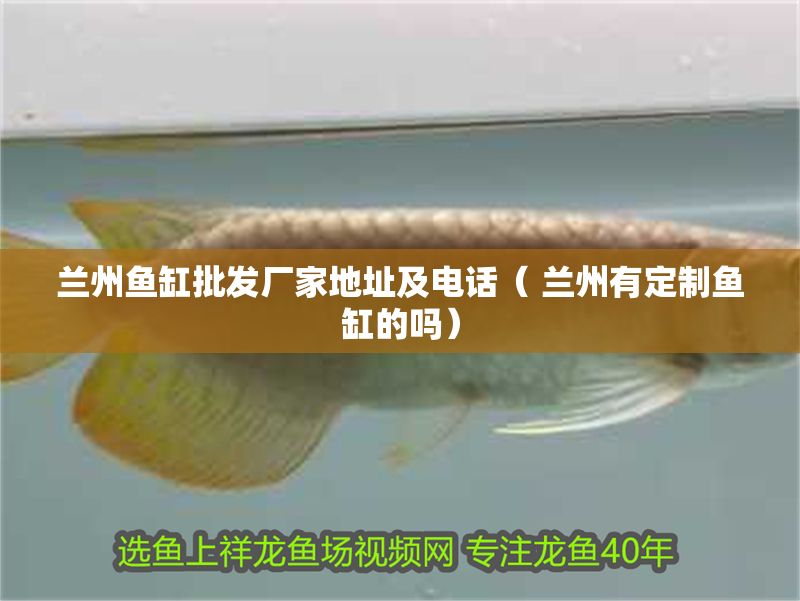 蘭州魚缸批發廠家地址及電話( 蘭州有定制魚缸的嗎) 虎魚百科 第1張 蘭州魚缸批發廠家地址及電話( 蘭州有定制魚缸的嗎) 蘭州魚缸批發廠家地址及電話( 蘭州有定制魚缸的嗎) 虎魚百科 第1張