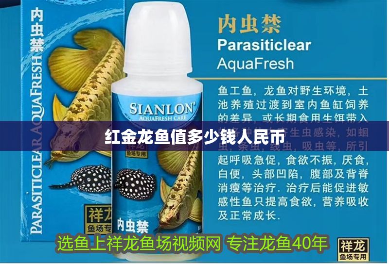 紅金龍魚值多少錢人民幣 紅金龍魚值多少錢人民幣 龍魚百科 第1張