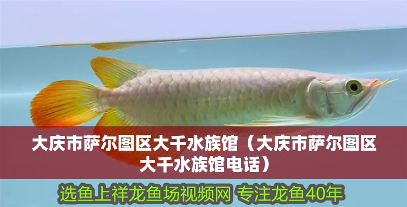 大慶市薩爾圖區大千水族館（大慶市薩爾圖區大千水族館電話）