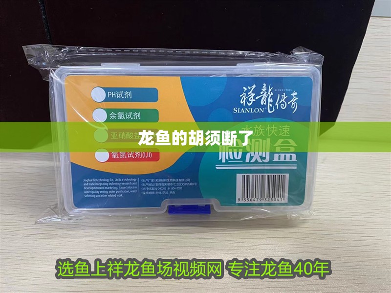龍魚的胡須斷了 龍魚百科 第2張 龍魚的胡須斷了 龍魚的胡須斷了 龍魚百科 第2張