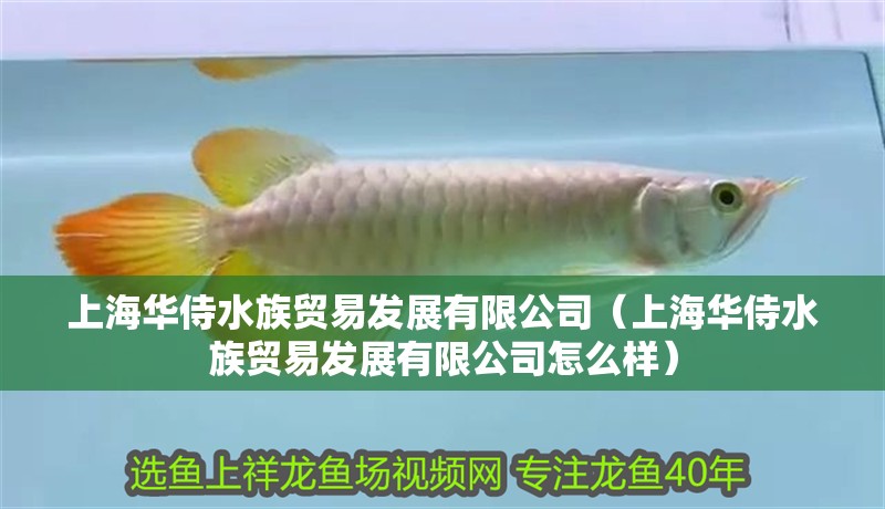 上海華侍水族貿易發展有限公司（上海華侍水族貿易發展有限公司怎么樣）