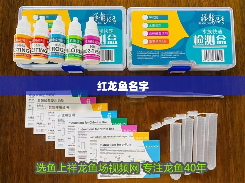 紅龍魚名字