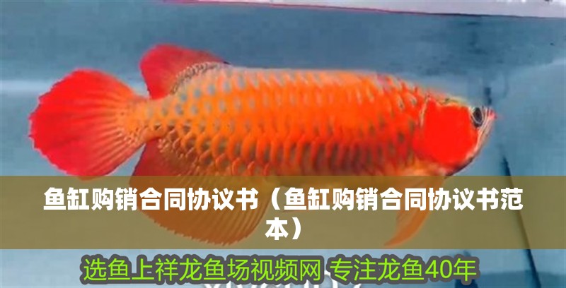 魚缸購(gòu)銷合同協(xié)議書（魚缸購(gòu)銷合同協(xié)議書范本）