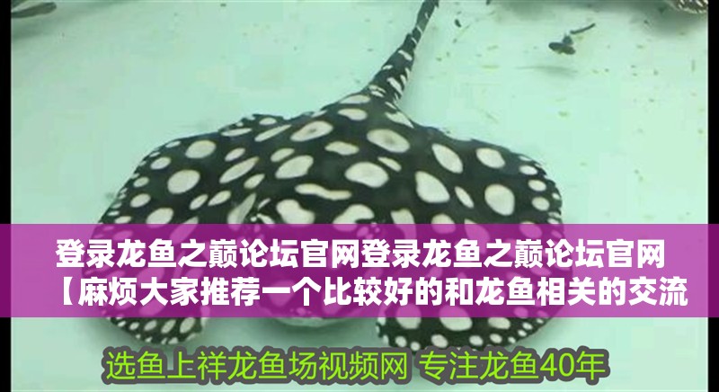 登錄龍魚之巔論壇官網登錄龍魚之巔論壇官網【麻煩大家推薦一個比較好的和龍魚相關的交流APP】