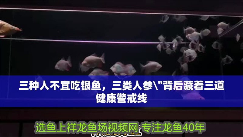 三種人不宜吃銀魚，三類人參\