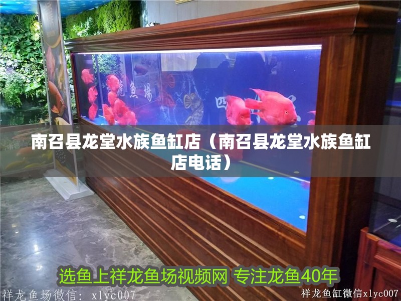 南召縣龍堂水族魚缸店(南召縣龍堂水族魚缸店電話) 全國水族館企業名錄 第1張 南召縣龍堂水族魚缸店(南召縣龍堂水族魚缸店電話) 南召縣龍堂水族魚缸店(南召縣龍堂水族魚缸店電話) 全國水族館企業名錄 第1張