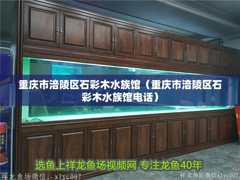 重慶市涪陵區石彩木水族館（重慶市涪陵區石彩木水族館電話）