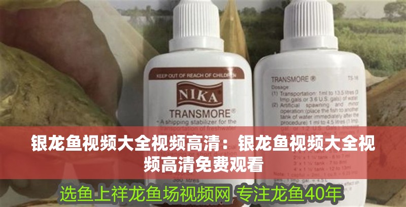 銀龍魚視頻大全視頻高清：銀龍魚視頻大全視頻高清免費觀看