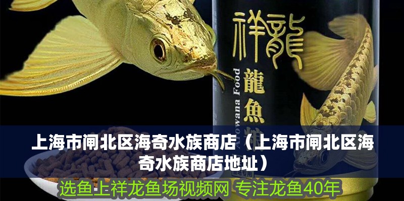 上海市閘北區海奇水族商店(上海市閘北區海奇水族商店地址) 全國水族館企業名錄 第1張 上海市閘北區海奇水族商店(上海市閘北區海奇水族商店地址) 上海市閘北區海奇水族商店(上海市閘北區海奇水族商店地址) 全國水族館企業名錄 第1張