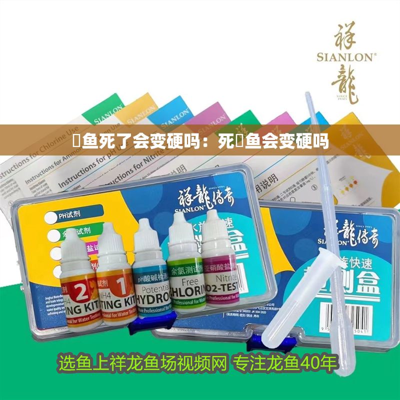 魟魚死了會變硬嗎：死魟魚會變硬嗎 魟魚死了會變硬嗎：死魟魚會變硬嗎 魟魚百科 第2張