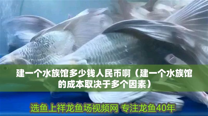 建一個水族館多少錢人民幣啊（建一個水族館的成本取決于多個因素）