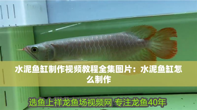 水泥魚缸制作視頻教程全集圖片：水泥魚缸怎么制作 水泥魚缸制作視頻教程全集圖片：水泥魚缸怎么制作 虎魚百科 第1張