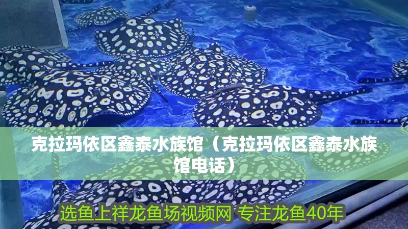 克拉瑪依區(qū)鑫泰水族館（克拉瑪依區(qū)鑫泰水族館電話）