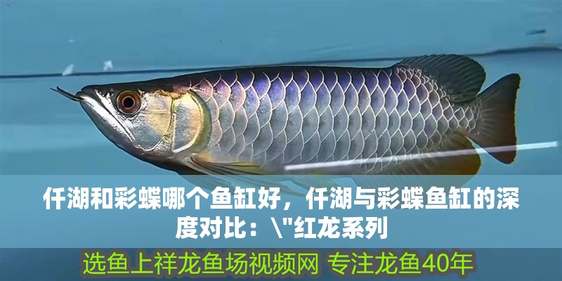 仟湖和彩蝶哪個魚缸好，仟湖與彩蝶魚缸的深度對比：\