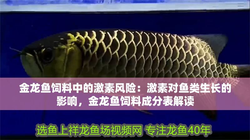 金龍魚飼料中的激素風險：激素對魚類生長的影響，金龍魚飼料成分表解讀