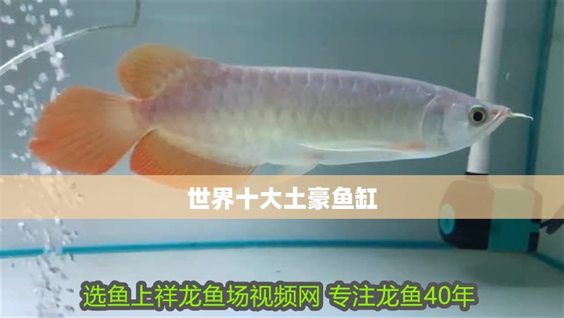 世界十大土豪魚缸